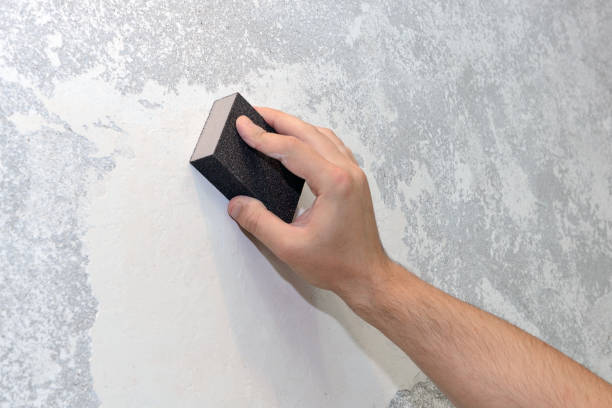 Best Post-Construction Mold Inspection  in Rochester, NY