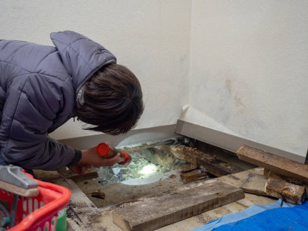 Best Air Quality Testing for Mold Spores  in Rochester, NY