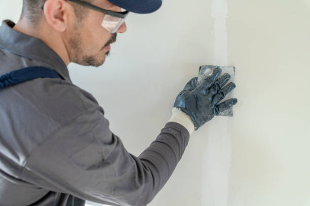 Best Mold Prevention Services  in Rochester, NY