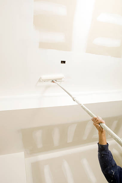 Best Industrial Mold Remediation  in Rochester, NY