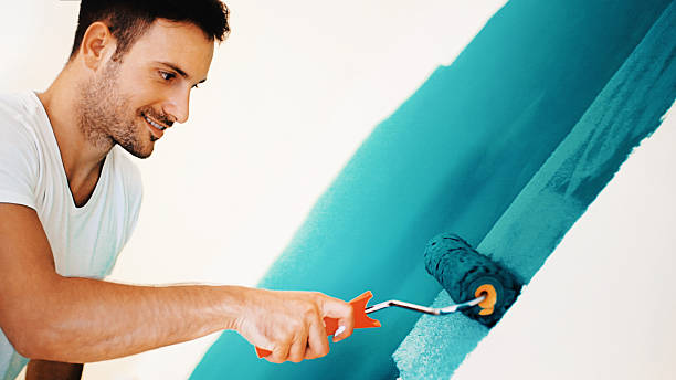 Best Biohazard Mold Removal  in Rochester, NY