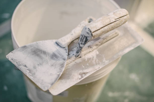 Mold Odor Removal Services in Rochester, NY