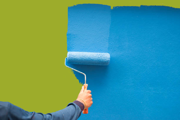 Best Real Estate Mold Inspection  in Rochester, NY