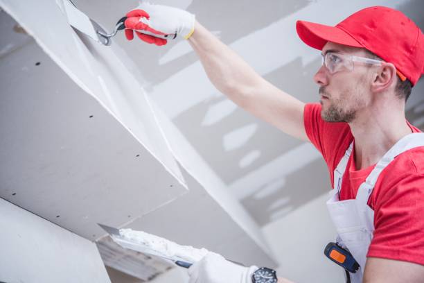 Best Comprehensive Air Testing for Mold Contaminants  in Rochester, NY